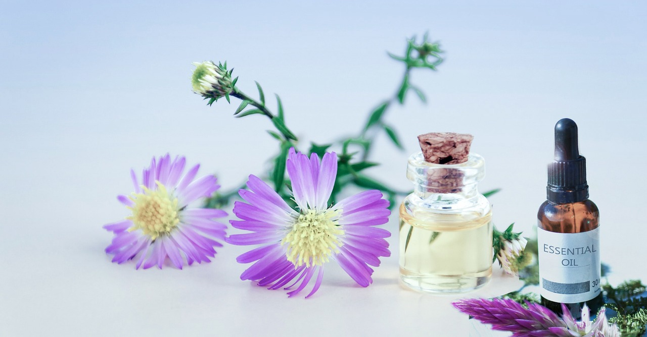 Roman vs German Chamomile Price Guide: Why Costs Differ So Much